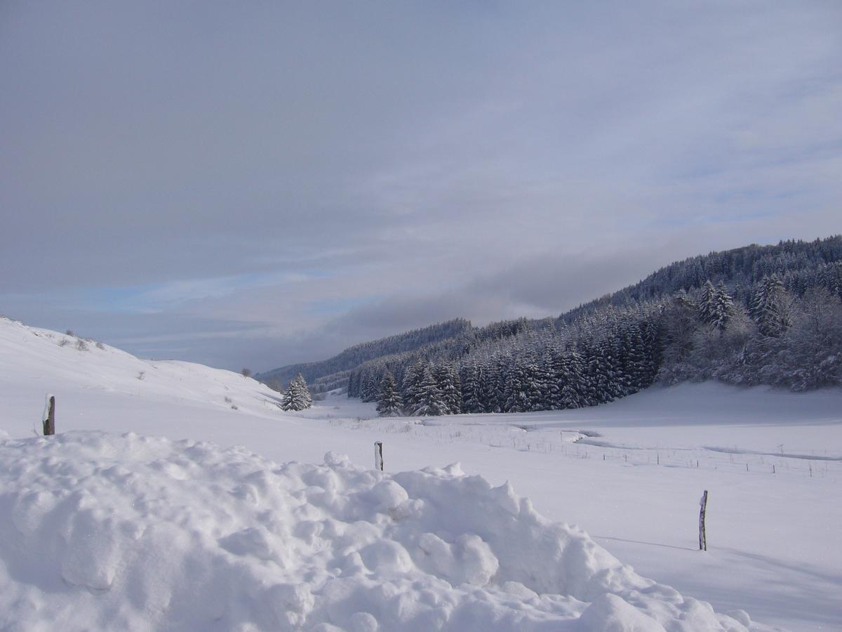 Hotel Auberge Du Grand Git La Chaux Neuve Bagian luar foto